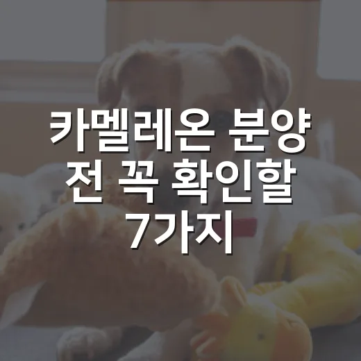카멜레온 분양 전 꼭 확인할 7가지 조건 - 요약