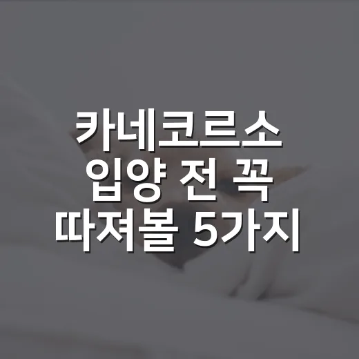 카네코르소 입양 전 꼭 따져볼 5가지 현실 - 요약