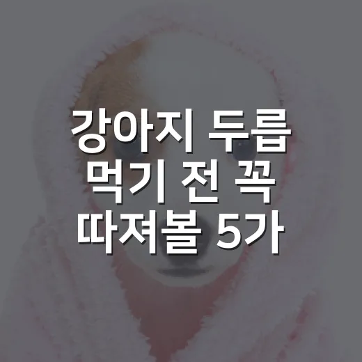 강아지 두릅 먹기 전 꼭 따져볼 5가지 - 요약