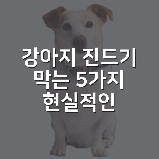 강아지 진드기 막는 5가지 현실적인 방법 - 요약