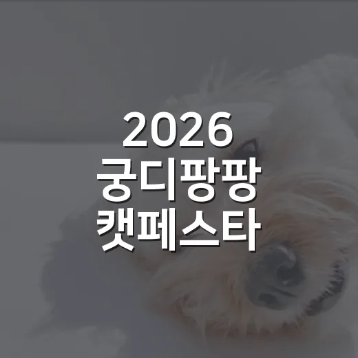 2026 궁디팡팡 캣페스타 DAEJEON 다녀오기 전 챙길 7가지 - 요약