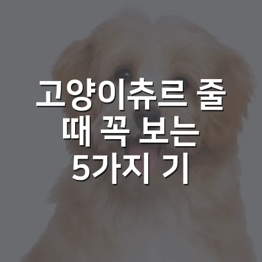 고양이츄르 줄 때 꼭 보는 5가지 기준 - 요약