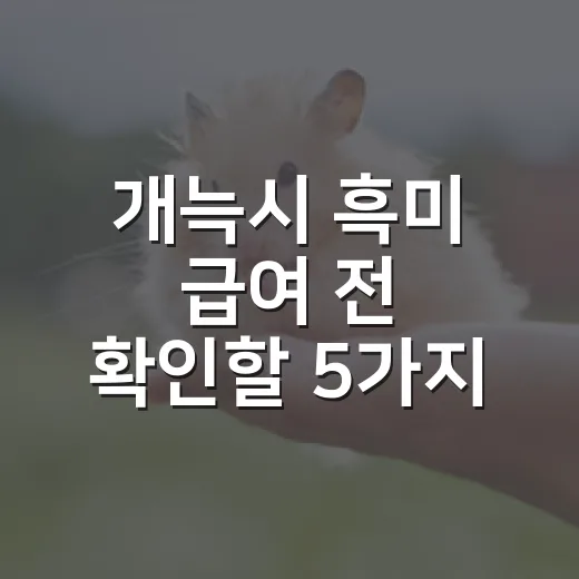 개늑시 흑미 급여 전 확인할 5가지 - 요약