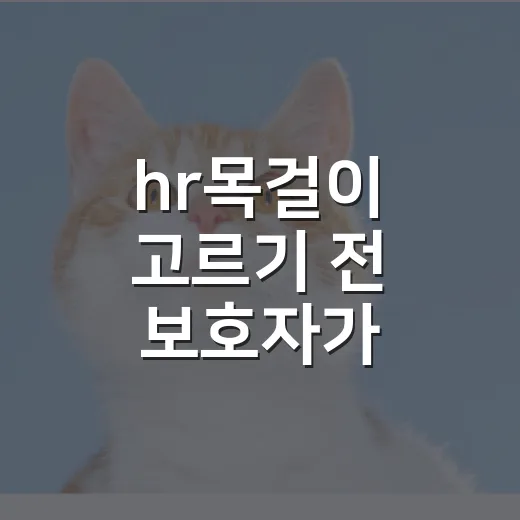 hr목걸이 고르기 전 보호자가 확인할 5가지 기준 - 요약
