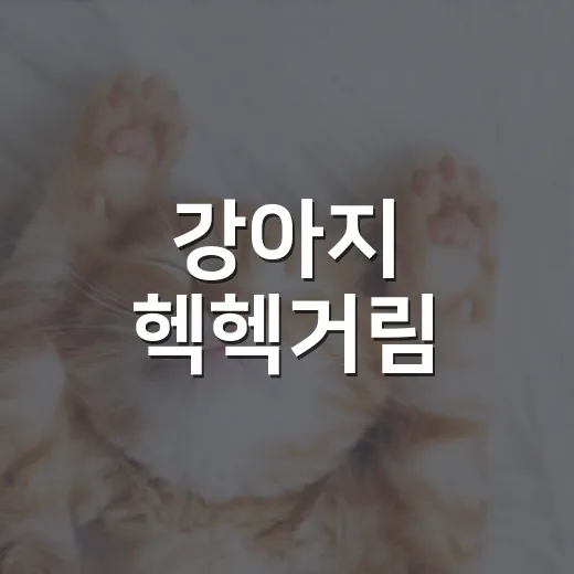 강아지 헥헥거림, 병원 가야 하는 신호 5가지 - 요약