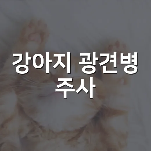 강아지 광견병 주사, 보호자가 놓치기 쉬운 5가지 숫자 - 요약