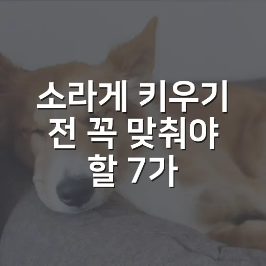 소라게 키우기 전 꼭 맞춰야 할 7가지 숫자 - 요약