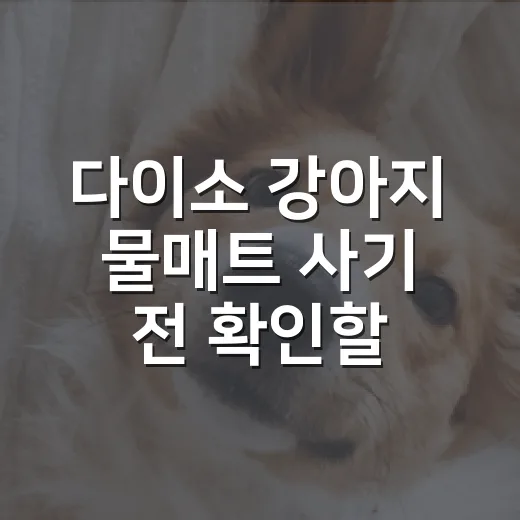 다이소 강아지 물매트 사기 전 확인할 5가지 기준 - 요약