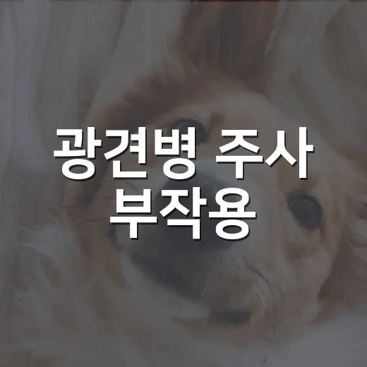 광견병 주사 부작용, 보호자가 봐야 할 5가지 신호 - 요약