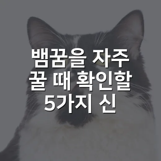 뱀꿈을 자주 꿀 때 확인할 5가지 신호 - 요약