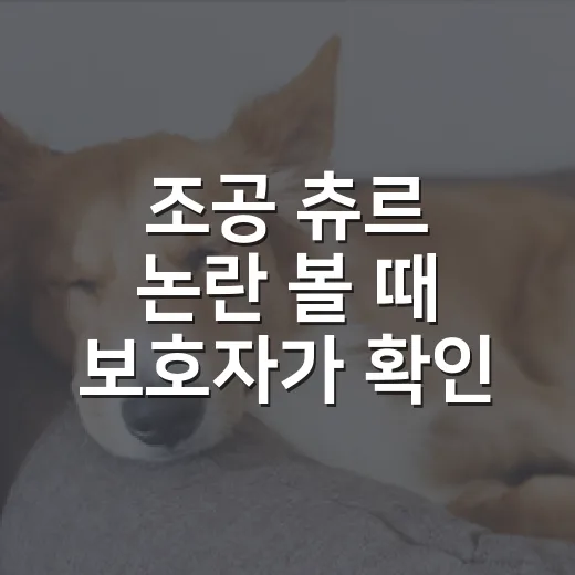 조공 츄르 논란 볼 때 보호자가 확인할 5가지 - 요약