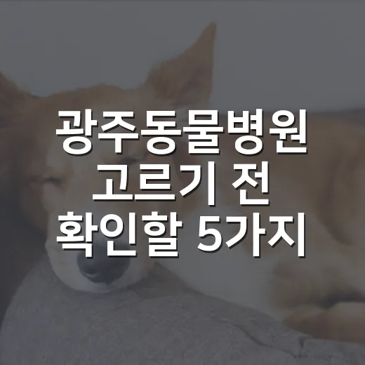 광주동물병원 고르기 전 확인할 5가지 기준 - 요약