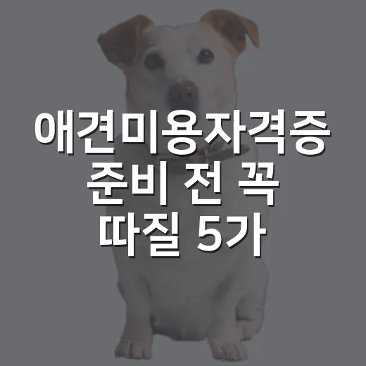 애견미용자격증 준비 전 꼭 따질 5가지 - 요약