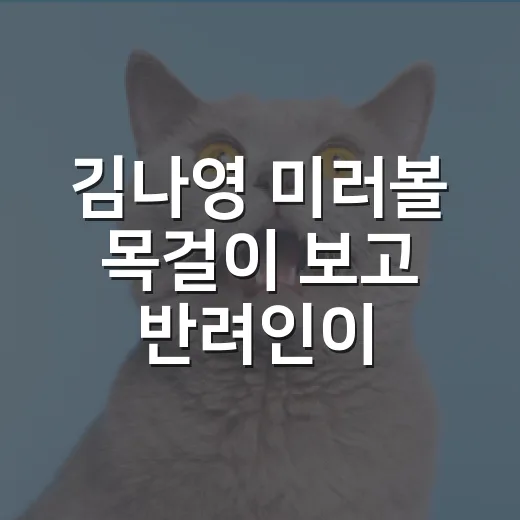 김나영 미러볼 목걸이 보고 반려인이 챙길 5가지 안전 기준 - 요약