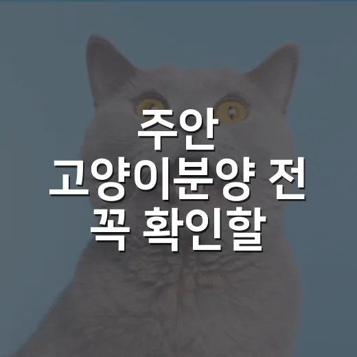 주안 고양이분양 전 꼭 확인할 7가지 기준 - 요약