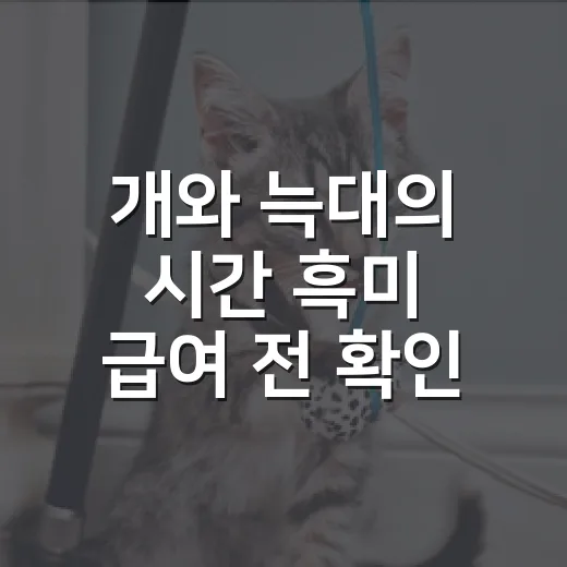 개와 늑대의 시간 흑미 급여 전 확인할 5가지 - 요약