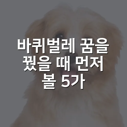 바퀴벌레 꿈을 꿨을 때 먼저 볼 5가지 신호 - 요약