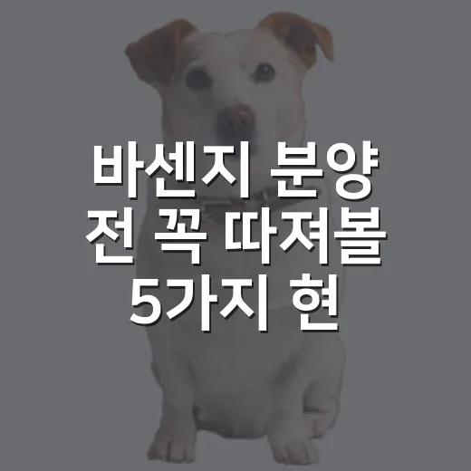 바센지 분양 전 꼭 따져볼 5가지 현실 체크 - 요약