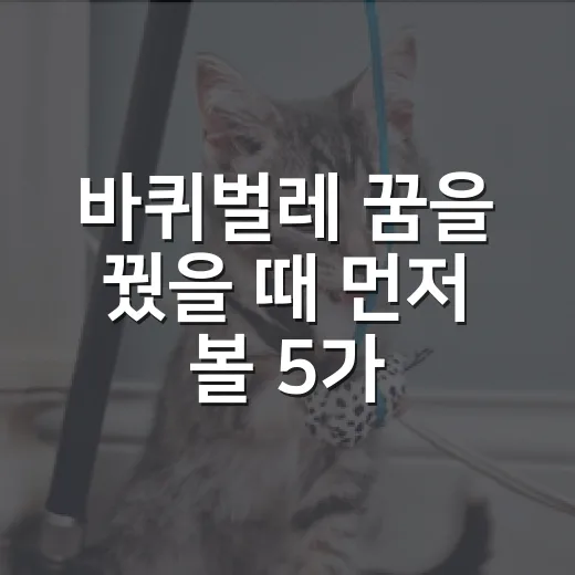 바퀴벌레 꿈을 꿨을 때 먼저 볼 5가지 신호 - 요약
