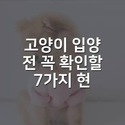 고양이 입양 전 꼭 확인할 7가지 현실 체크 - 요약