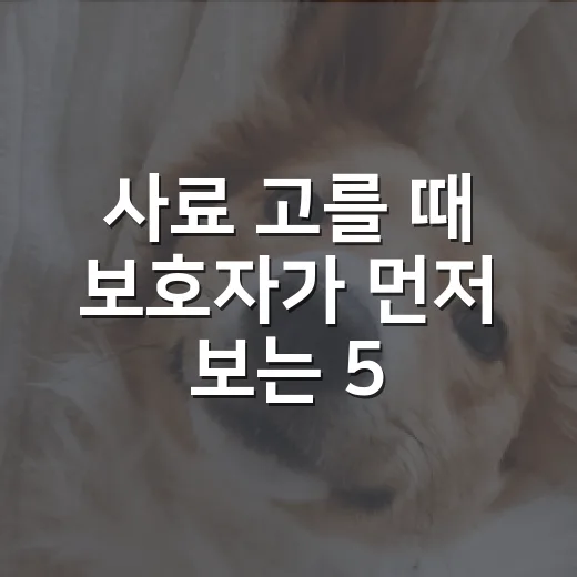 사료 고를 때 보호자가 먼저 보는 5가지 숫자 - 요약
