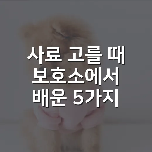 사료 고를 때 보호소에서 배운 5가지 기준 - 요약