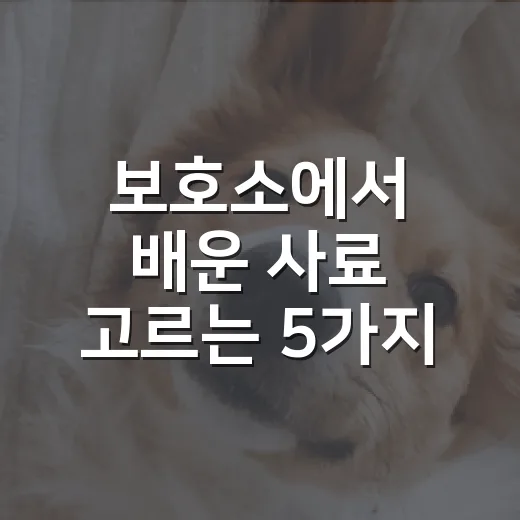 보호소에서 배운 사료 고르는 5가지 기준 - 요약