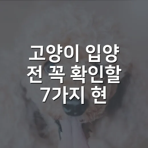 고양이 입양 전 꼭 확인할 7가지 현실 체크 - 요약