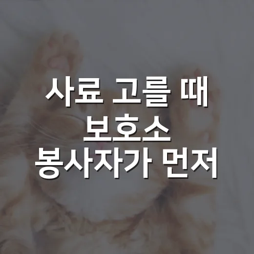 사료 고를 때 보호소 봉사자가 먼저 보는 5가지 숫자 - 요약