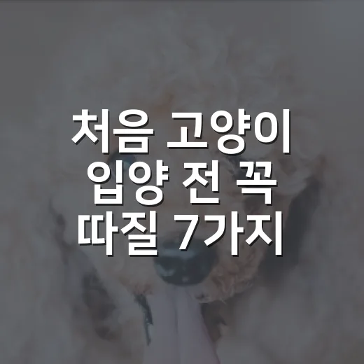 처음 고양이 입양 전 꼭 따질 7가지 현실 체크 - 요약