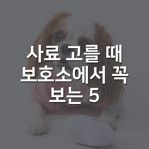 사료 고를 때 보호소에서 꼭 보는 5가지 기준 - 요약