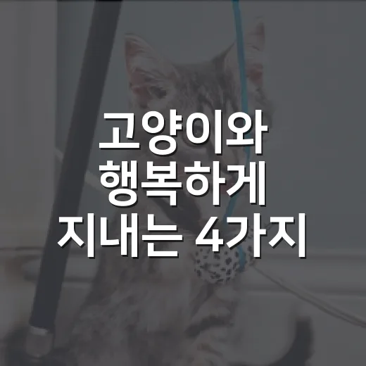 고양이와 행복하게 지내는 4가지 방법 - 요약