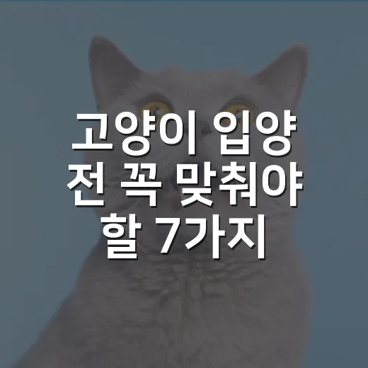 고양이 입양 전 꼭 맞춰야 할 7가지 현실 준비 - 요약