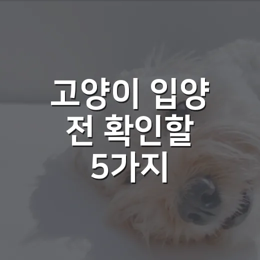 고양이 입양 전 확인할 5가지 - 요약