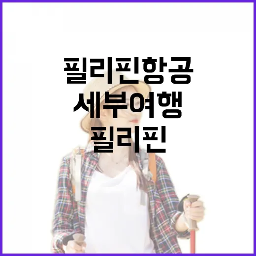 필리핀 항공으로 세부 여행, 이렇게 준비하세요! - 요약
