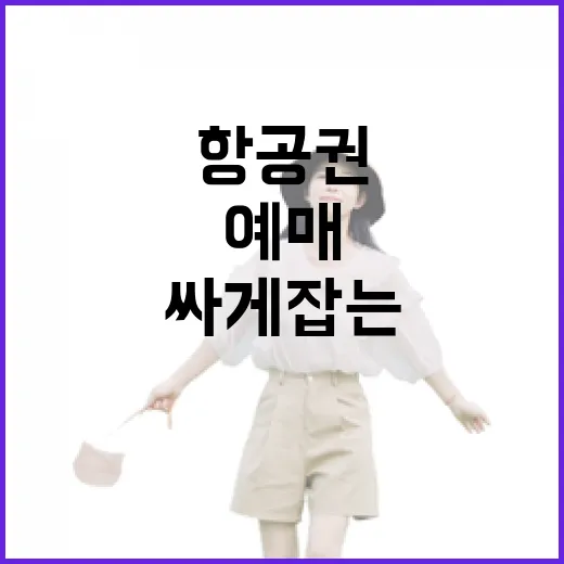 설날항공권 싸게 잡는 방법, 예매 타이밍부터 좌석 선택까지 - 요약