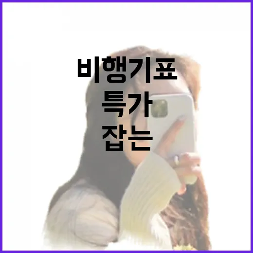 비행기표특가 잡는 방법, 날짜부터 검색 설정까지 이렇게 해요 - 요약