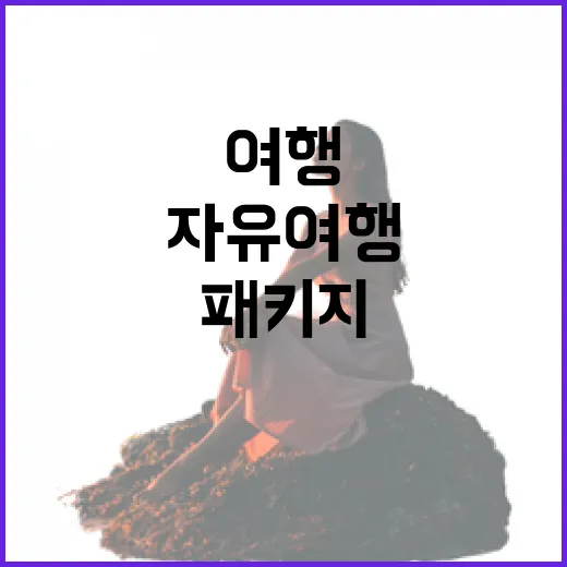 베트남자유여행패키지 고르는 방법, 초보자는 이렇게 짜면 편해요 - 요약