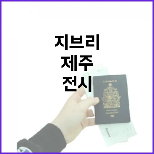 제주 지브리 전시 찾는 방법, 헛걸음 줄이려면 이렇게 확인하세요 - 요약