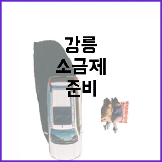 강릉 소금제 가려면 이렇게 준비하면 편해요 - 요약