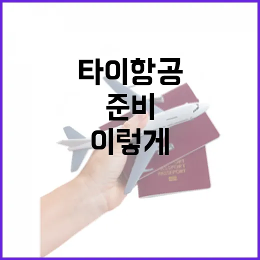 타이항공 처음 타려면 이렇게 준비하면 편해요 - 요약