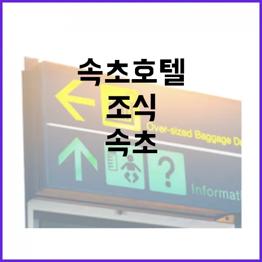 초보자를 위한 속초호텔 고르는 방법, 위치부터 조식까지 이렇게 보면 편해요 - 요약