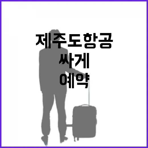 제주도항공 싸게 예약하려면 이렇게 비교하면 됩니다 - 요약