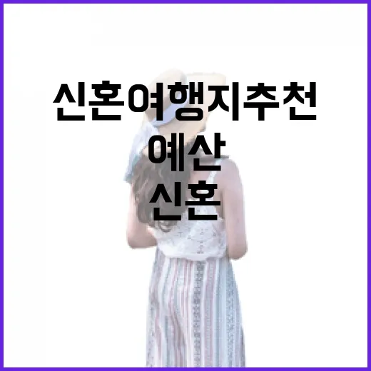 신혼여행지추천 고르려면 예산보다 취향부터 맞추는 방법 - 요약