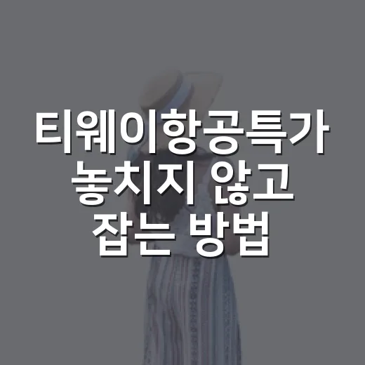 티웨이항공특가 놓치지 않고 잡는 방법, 초보자도 이렇게 보면 편해요 - 요약