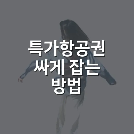 특가항공권 싸게 잡는 방법, 초보자도 놓치지 않으려면 이렇게 - 요약
