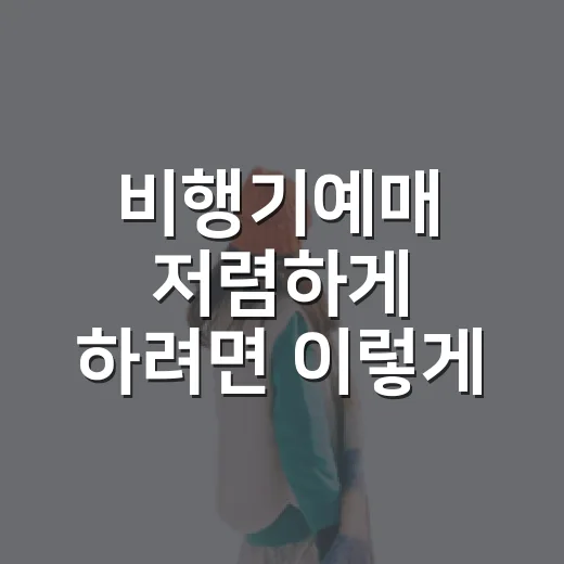 비행기예매 저렴하게 하려면 이렇게 준비하세요 - 요약