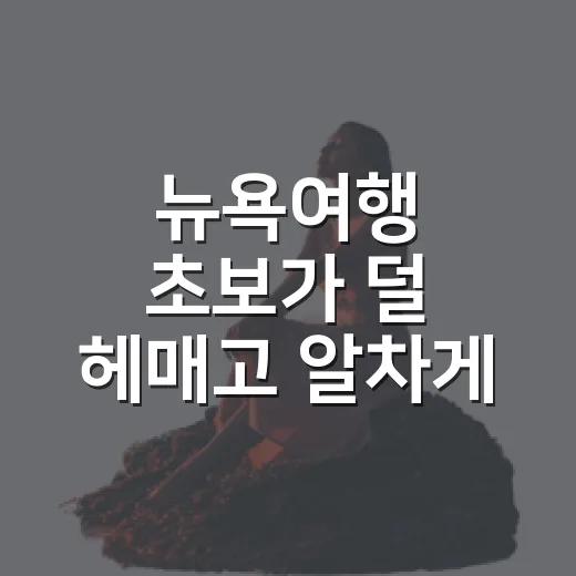 뉴욕여행 초보가 덜 헤매고 알차게 다녀오는 방법 - 요약