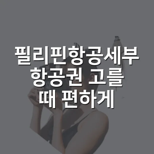 필리핀항공세부 항공권 고를 때 편하게 준비하는 방법 - 요약