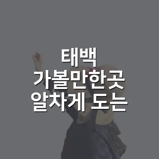 태백 가볼만한곳 알차게 도는 방법, 처음 가는 사람도 편한 코스 - 요약